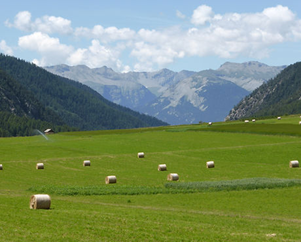Les champs de l'Allemagne se trouvent à l'arrière-plan des montagnes.